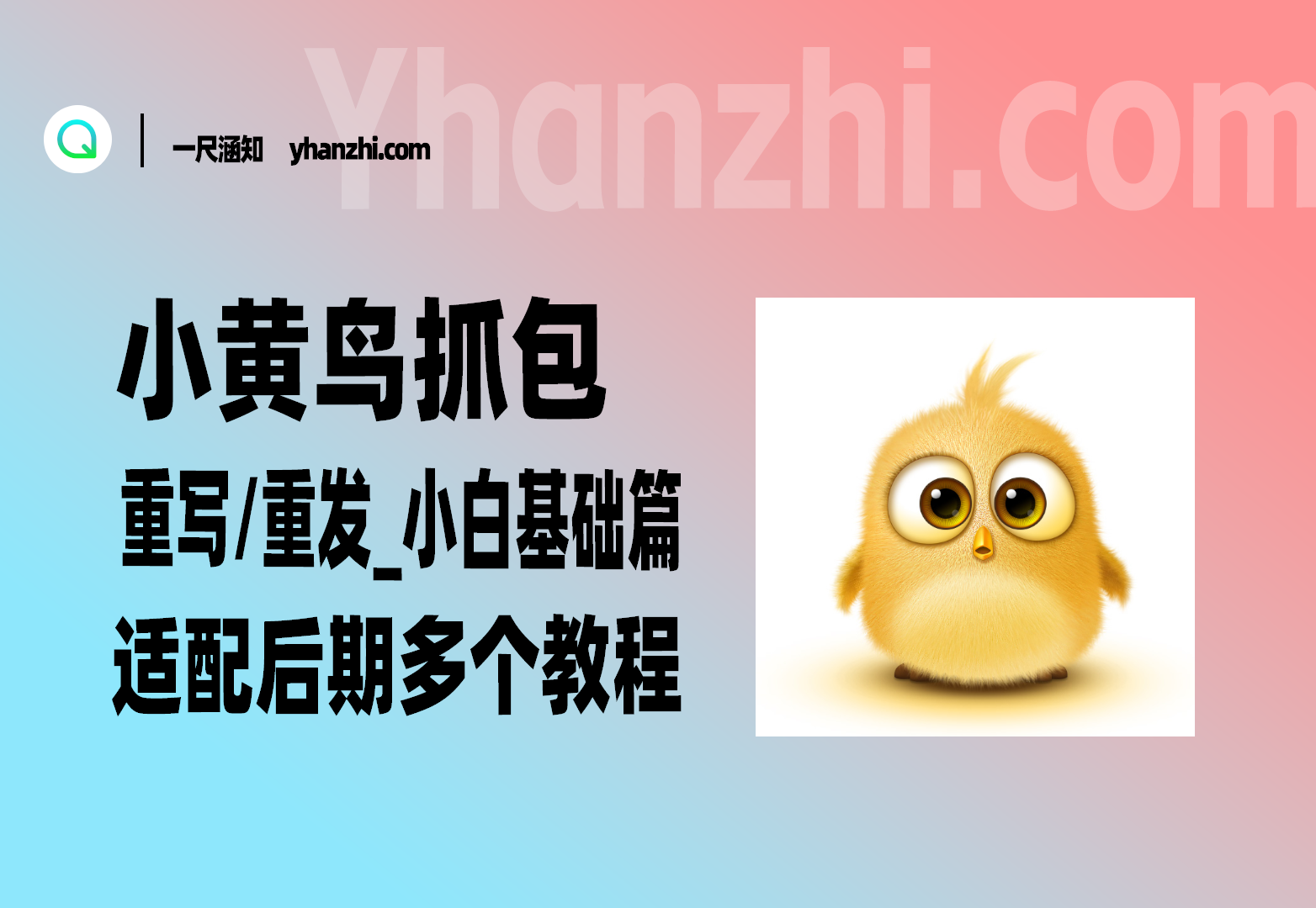小黄鸟抓包/重写/重发_小白基础篇，适配后期多个教程-一尺涵知