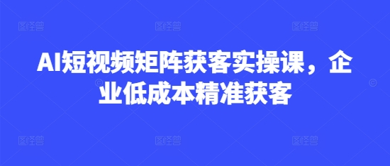 AI短视频矩阵获客实操课，企业低成本精准获客-一尺涵知