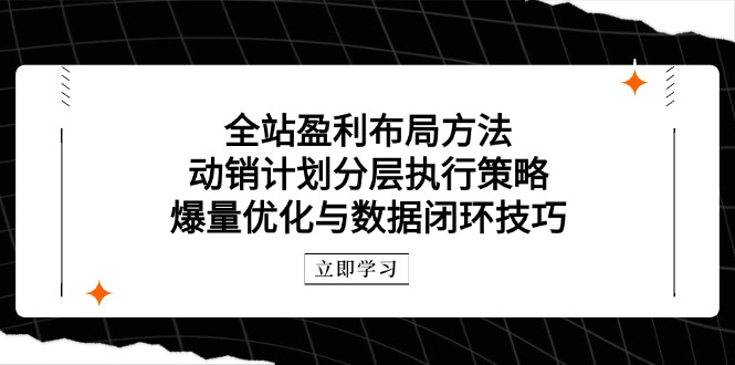 全站盈利布局方法：动销计划分层执行策略，爆量优化与数据闭环技巧-一尺涵知