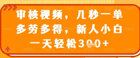 审核视频，几秒一单，多劳多得，新人小白一天轻松3张【揭秘】-一尺涵知