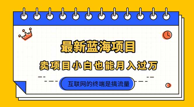 2025年最新蓝海项目，卖项目小白也能月入过万-一尺涵知