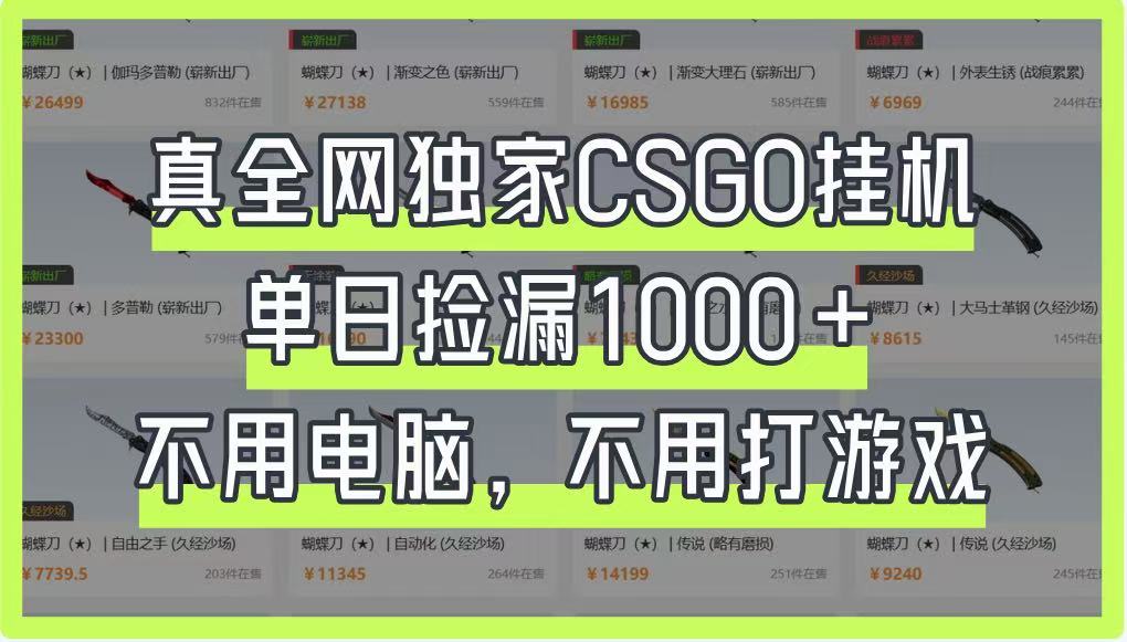 真全网独家CSGO挂机，单日捡漏1000+，不用电脑，不用养号-一尺涵知