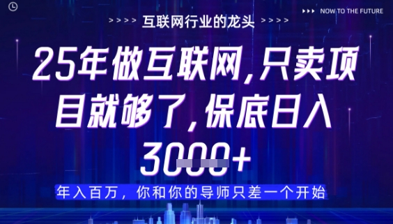 什么！25年你还在找项目做？风口早就变了，卖项目才是稳挣不赔【揭秘】-一尺涵知