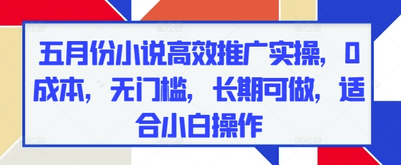 五月份小说高效推广实操，0成本，无门槛，长期可做，适合小白操作-一尺涵知