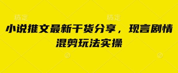 小说推文最新干货分享，现言剧情混剪玩法实操-一尺涵知