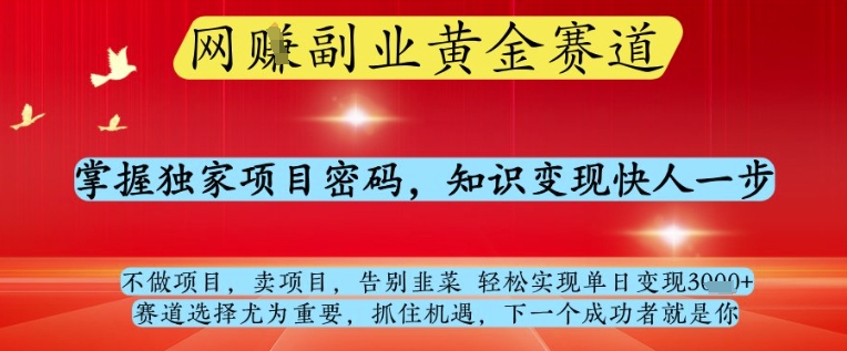 网创副业黄全赛道，掌握独家项目密码，知识变现快人一步，告别韭菜轻松实现单日变现1k+【揭秘】-一尺涵知