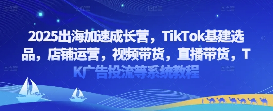 2025出海加速成长营，TikTok基建选品，店铺运营，视频带货，直播带货，TK广告投流等系统教程-一尺涵知