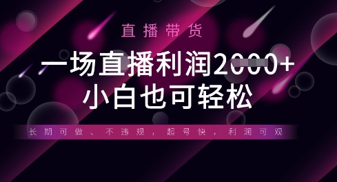 半无人直播带货，一场利润数张，适合所有平台玩法，小白也可轻松-一尺涵知