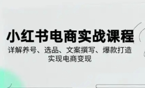 小红书从0-1实操课(2023-2025)，详解养号、选品、文案撰写、爆款打造实现电商变现-一尺涵知