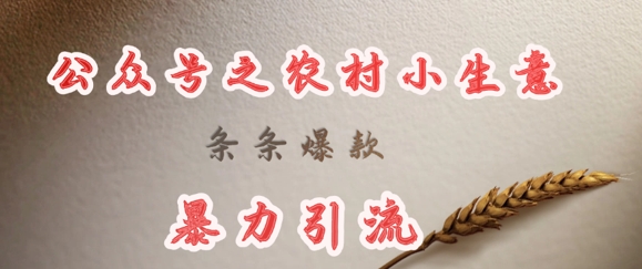 deepseek写农村小项目，条条爆款，暴力引流-一尺涵知