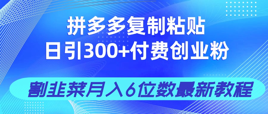 拼多多复制粘贴日引300+付费创业粉，割韭菜月入6位数最新教程！-一尺涵知