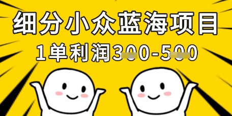 细分小众蓝海项目，一单利润3张，每月收入稳定过1w+-一尺涵知