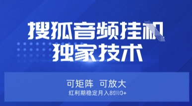 【搜狐音频挂G】独家技术，可矩阵可放大，红利期稳定月入8k【揭秘】-一尺涵知