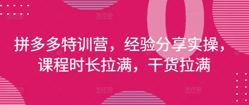 拼多多特训营，经验分享实操，课程时长拉满，干货拉满(更新25年4月)-一尺涵知