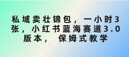 私域卖壮锦包，一小时3张，小红书蓝海赛道3.0版本， 保姆式教学-一尺涵知
