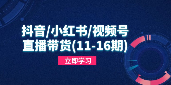 抖音/小红书/视频号/直播带货(11-16期-一尺涵知