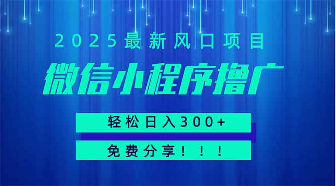 微信小程序撸广，最新风口项目，日入300+ 免费分享 可批量操作 小白可…-一尺涵知