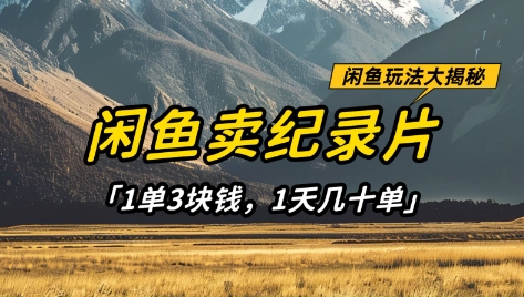 闲鱼卖纪录片1单3块钱，1天几十单，项目稳定有潜力-一尺涵知