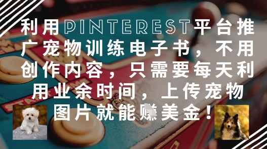 利用Pinterest平台推广宠物训练电子书，不用创作内容，只需要每天利用业余时间，上传宠物图片就能挣美金!-一尺涵知