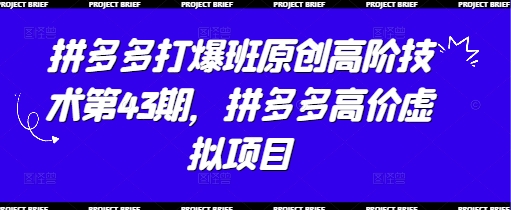 拼多多打爆班原创高阶技术第43期，拼多多高价虚拟项目-一尺涵知