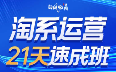 白凤电商·淘系运营21天速成班(更新3月)-一尺涵知