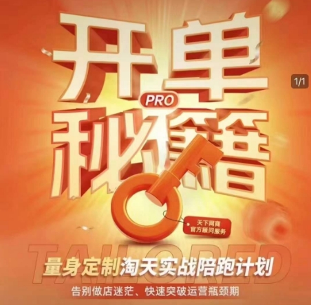 淘宝开单秘籍PRO，量身定制淘天实战陪跑计划，告别做店迷茫、快速突破运营瓶颈期(更新)-一尺涵知