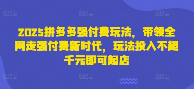 2025拼多多强付费玩法，带领全网走强付费新时代，玩法投入不超千元即可起店-一尺涵知