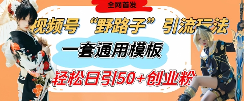 视频号“野路子”玩法，评论区疯狂截流，一套模板单日单号引流50+创业粉-一尺涵知