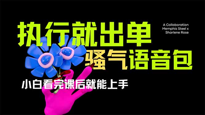 爆火全网的开车导航骚气语音包,只要执行就出单，小白看完课程就能实操…-一尺涵知