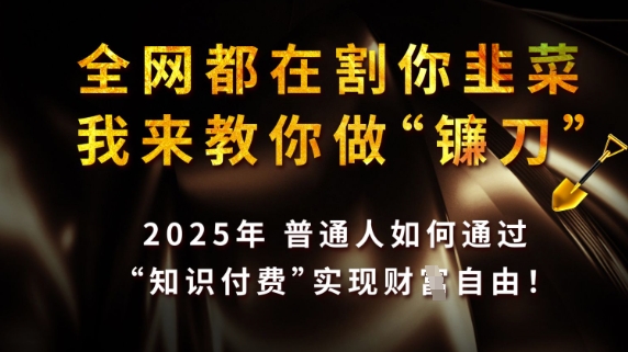 全网都在割你韭菜，我来教你做镰刀，2025普通人如何通过知识付费，实现财F自由【揭秘】-一尺涵知
